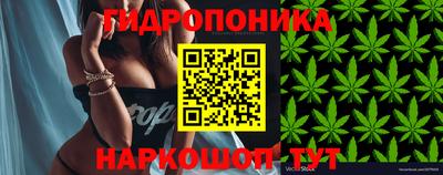 spice Будённовск