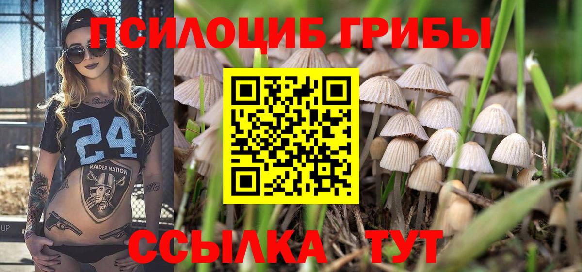 Псилоцибиновые грибы мицелий Тавда