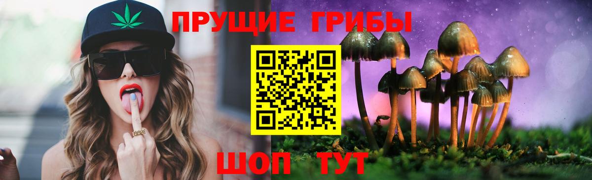 Тавда  Псилоцибиновые грибы мухоморы  Вход с VPN 