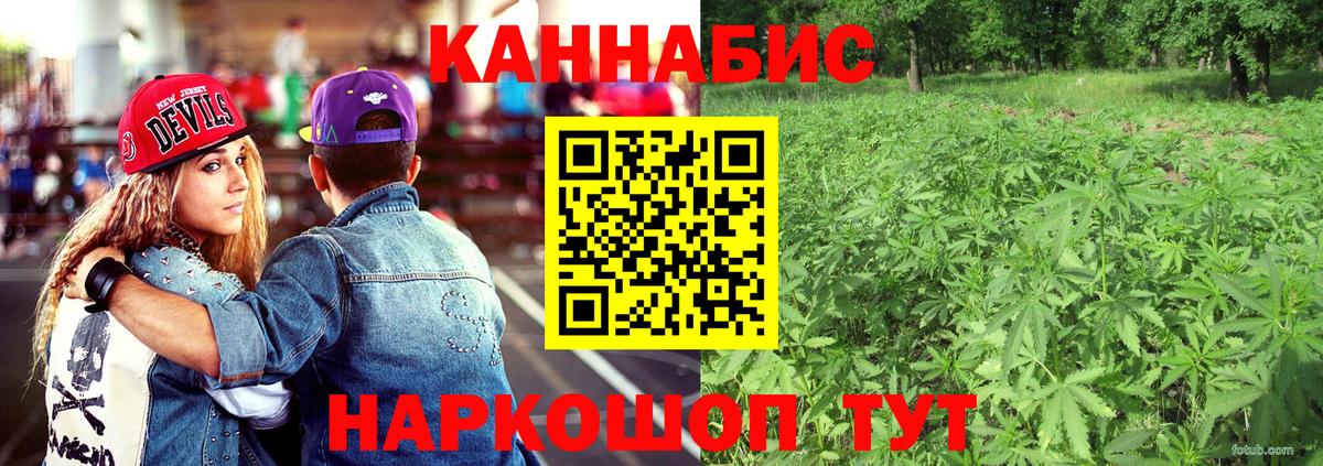 Конопля AK-47 Тавда